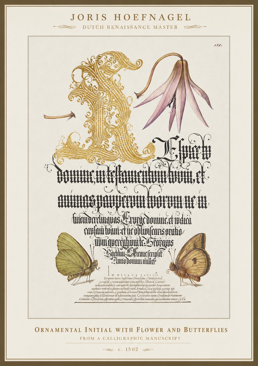 Joris Hoefnagel Ornamental Capital with Flower and Butterflies No5 - Affiche