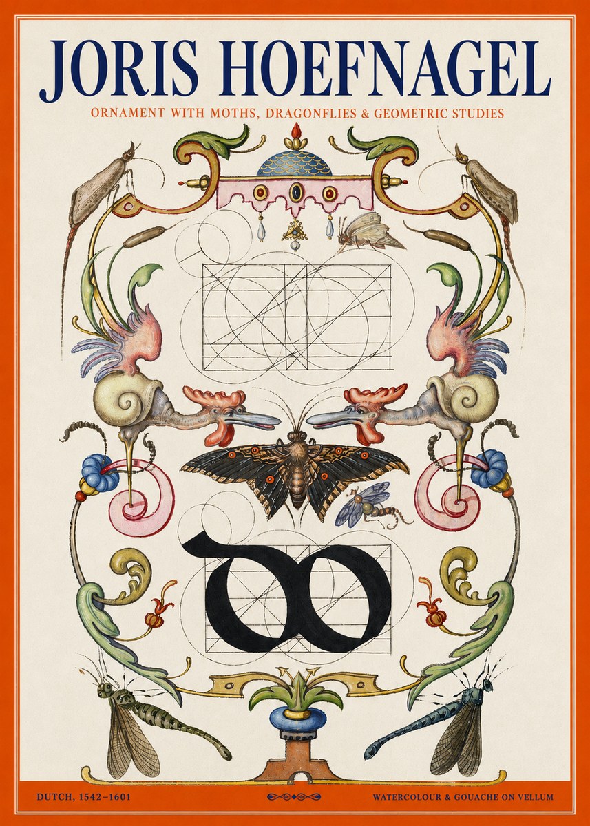 Joris Hoefnagel Ornament with Moths, Dragonflies & Geometric Studies No2 - Affiche