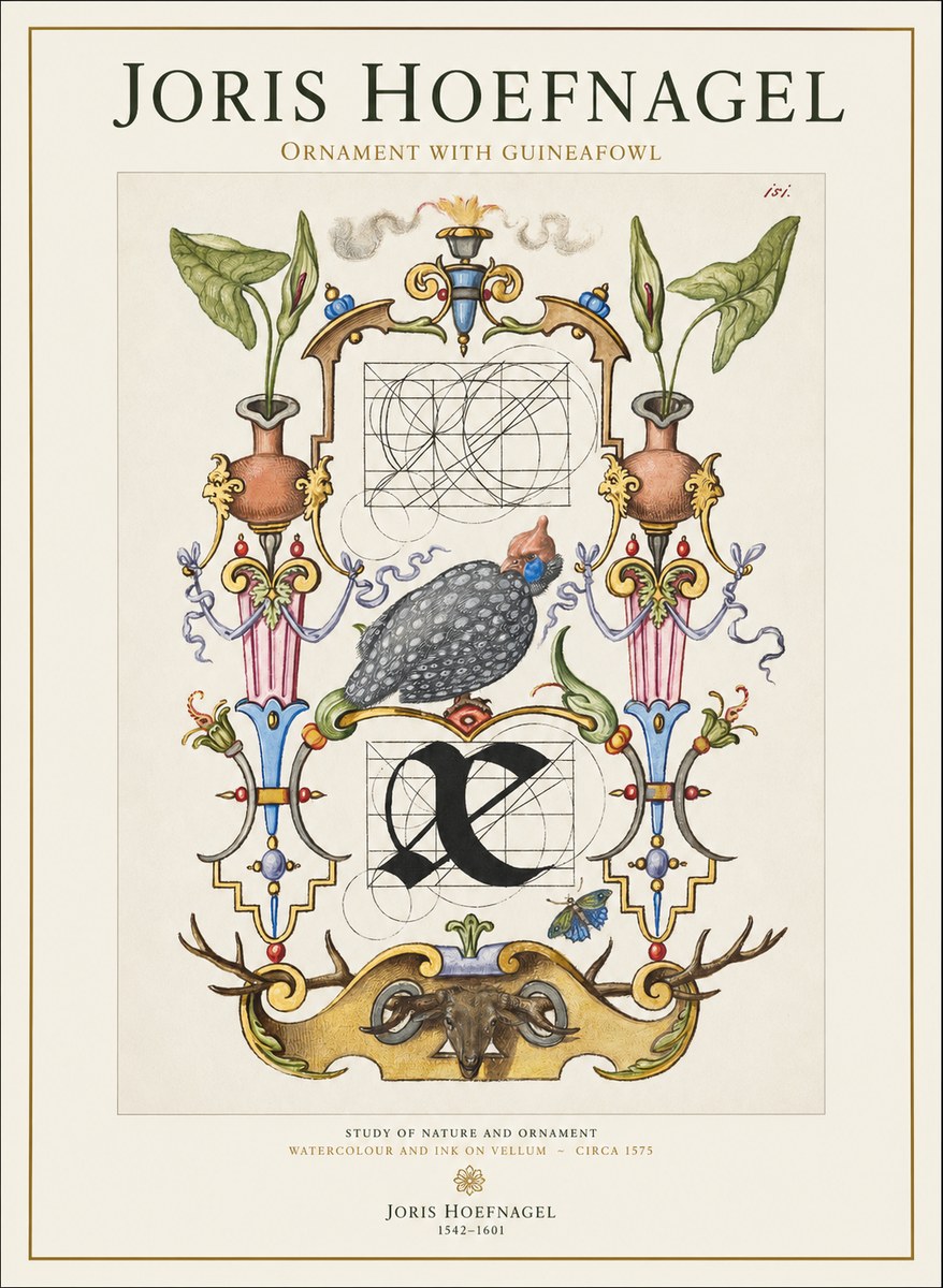 Joris Hoefnagel Ornament with Guineafowl No1 - Affiche