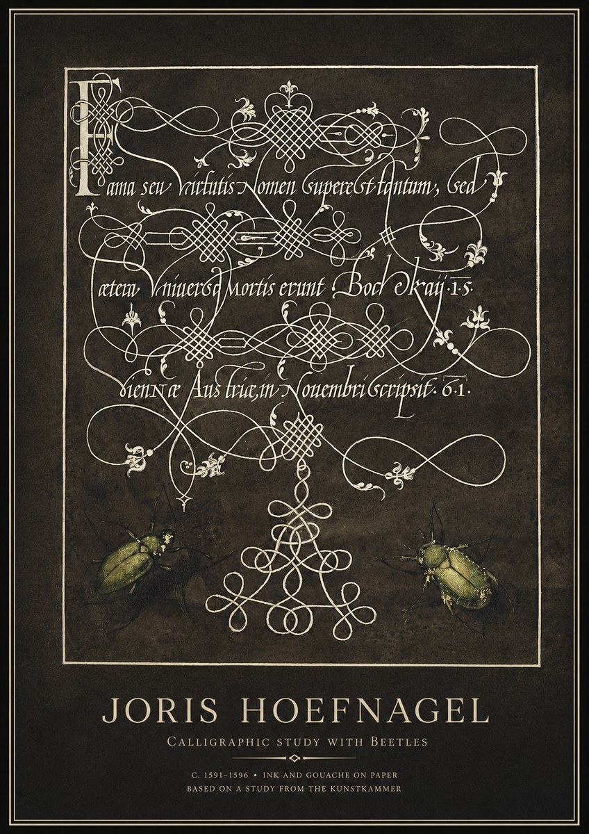 Joris Hoefnagel Calligraphic Study with Beetles No1 - Affiche