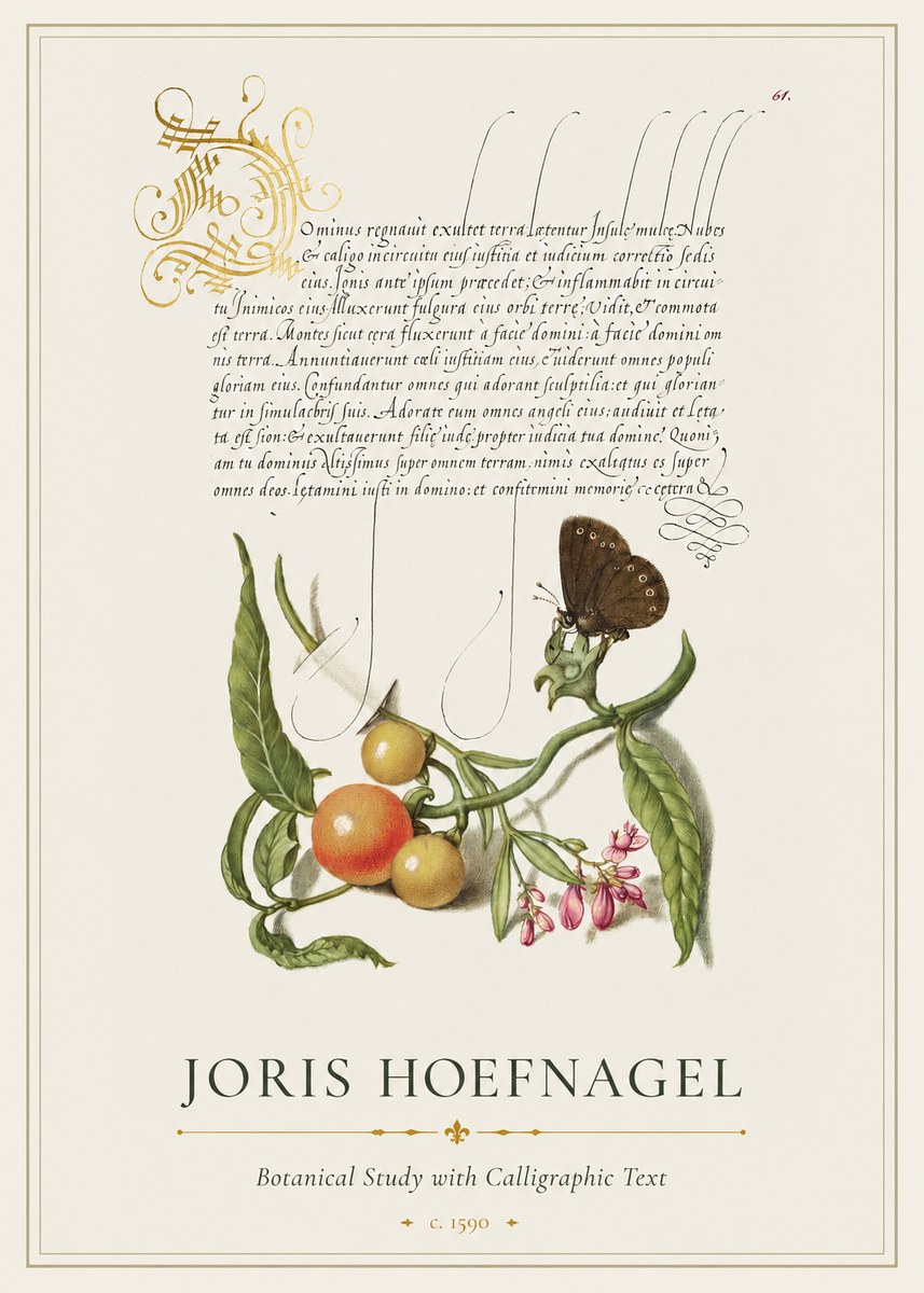 Joris Hoefnagel Botanical Study with Calligraphic Text No1 - Affiche