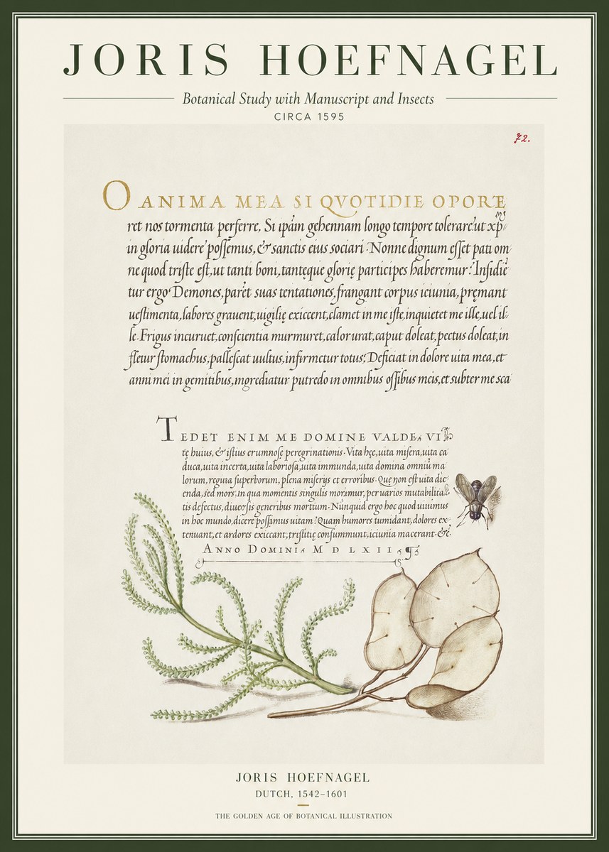Joris Hoefnagel Botanical Study with Manuscript and Insects No1 - Affiche