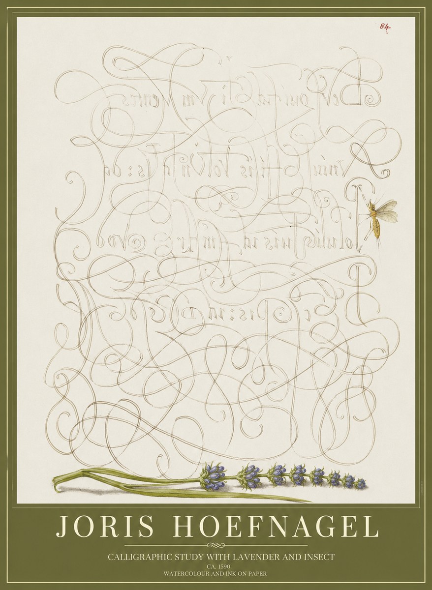 Joris Hoefnagel Calligraphic Study with Insect and Flower No5 - Affiche