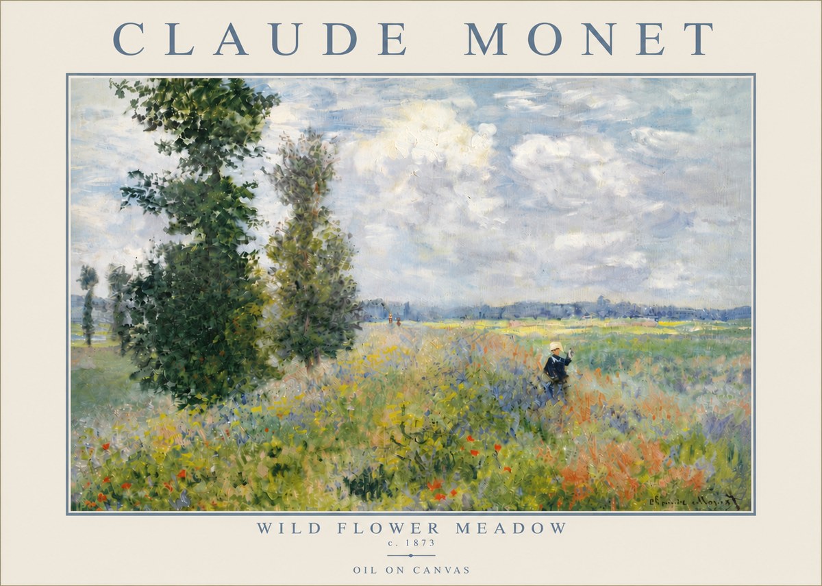 Monet Wild Flower Meadow No5 - Affiche