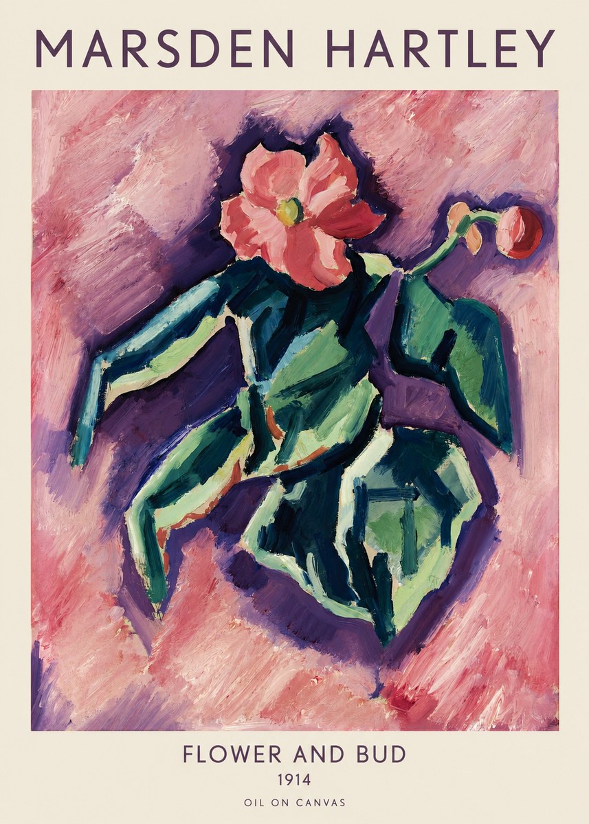 Marsden Hartley Flower and Bud No1 - Affiche