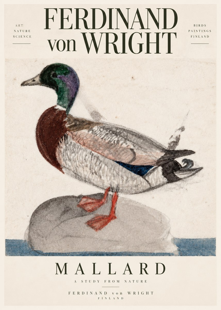 Ferdinand von Wright Mallard No3 - Affiche