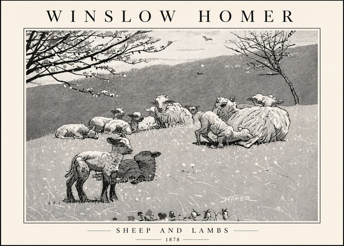 Winslow Homer Sheep and Lambs No4 - Affiche