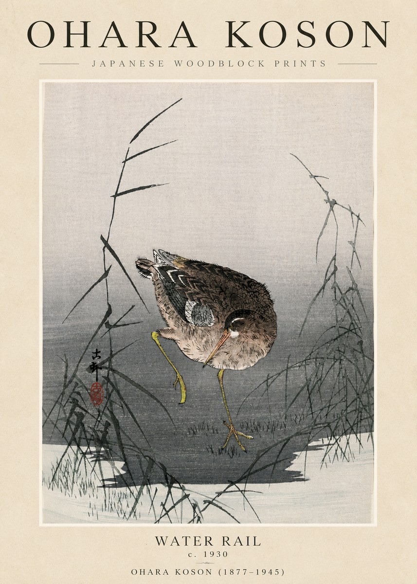 Ohara Koson Water Rail No3 - Affiche