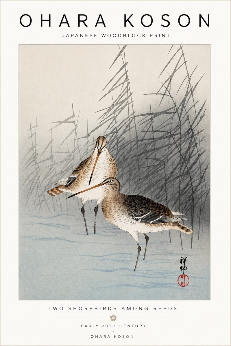 Ohara Koson Snipe in the Reeds No5 - Affiche