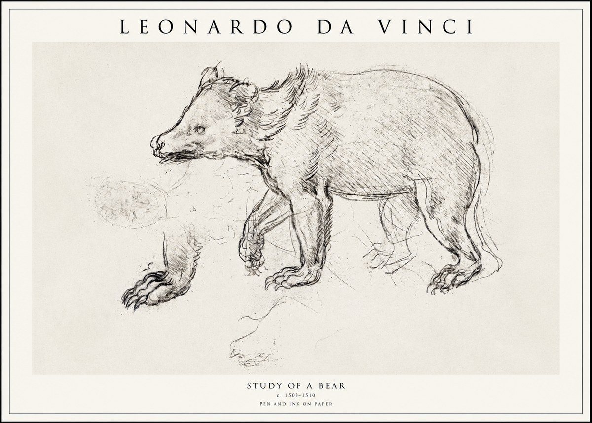 Leonardo da Vinci Study of a Bear No1 - Affiche