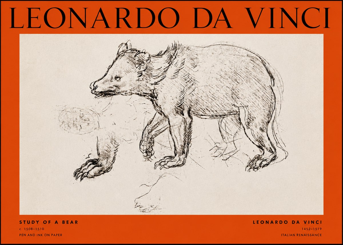 Leonardo da Vinci Study of a Bear No2 - Affiche