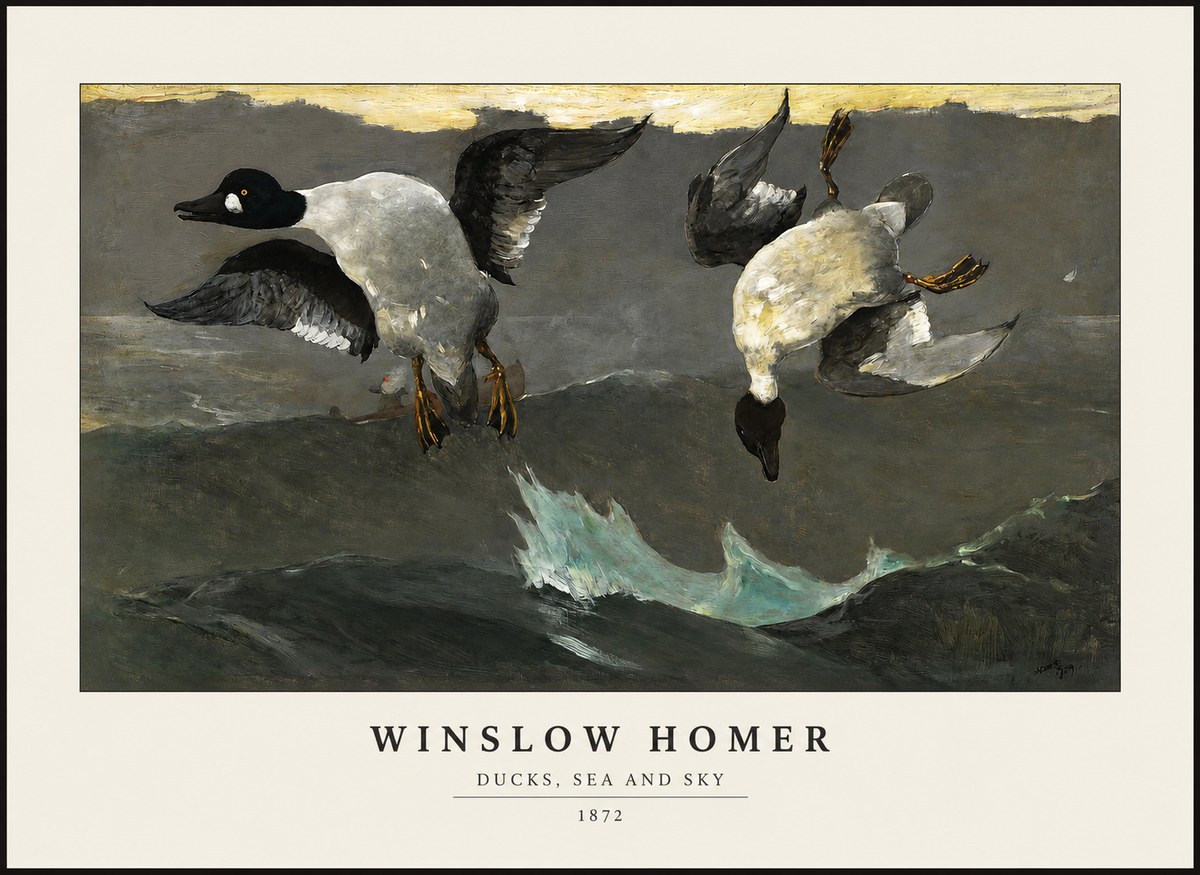Winslow Homer Ducks, Sea and Sky No1 - Affiche