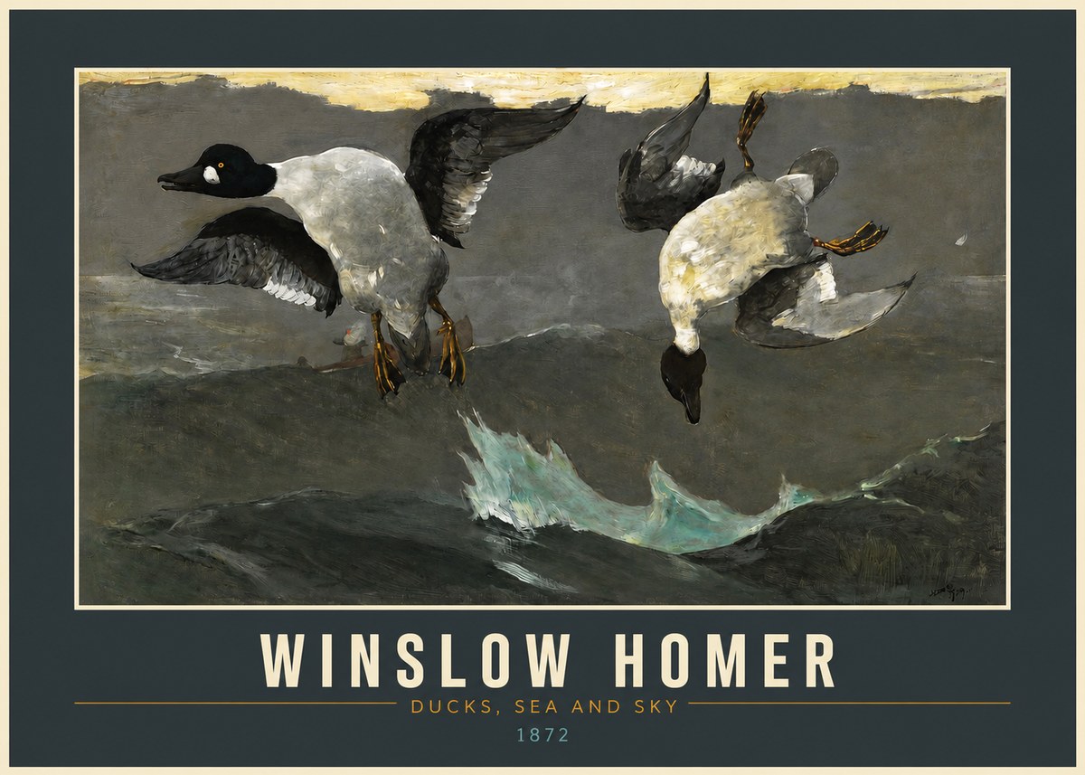 Winslow Homer Ducks, Sea and Sky No2 - Affiche
