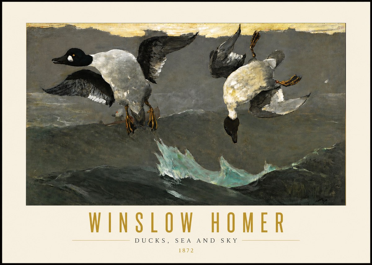 Winslow Homer Ducks, Sea and Sky No4 - Affiche