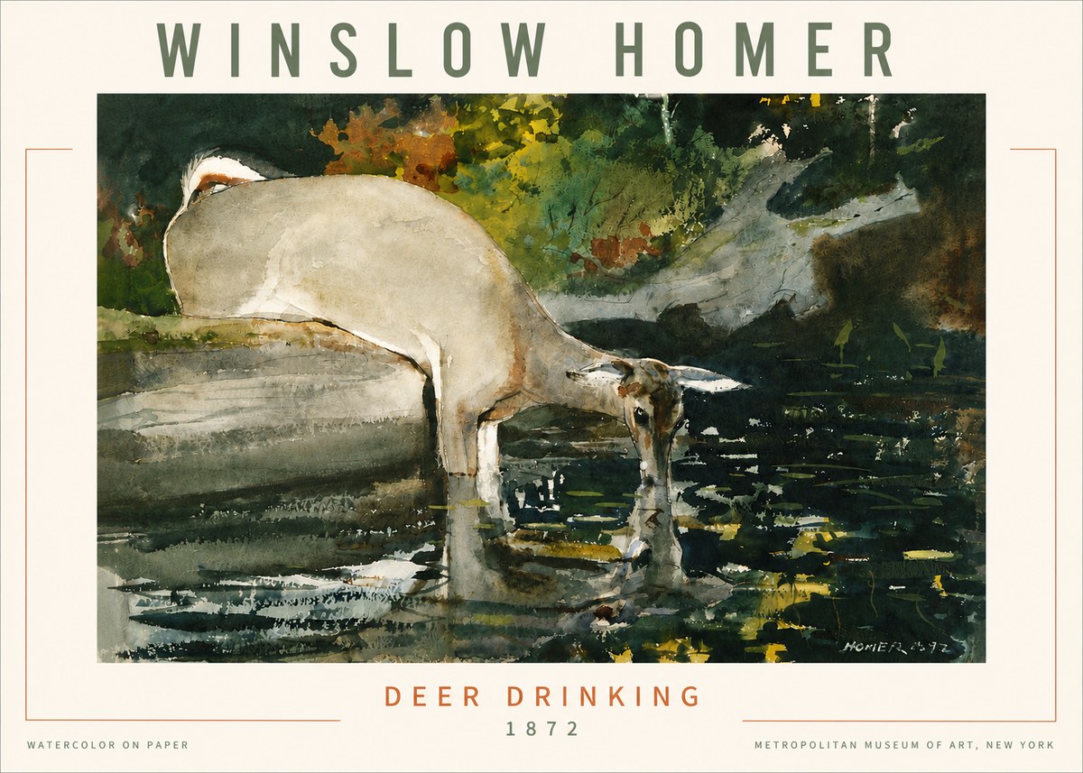 Winslow Homer Deer Drinking No4 - Affiche
