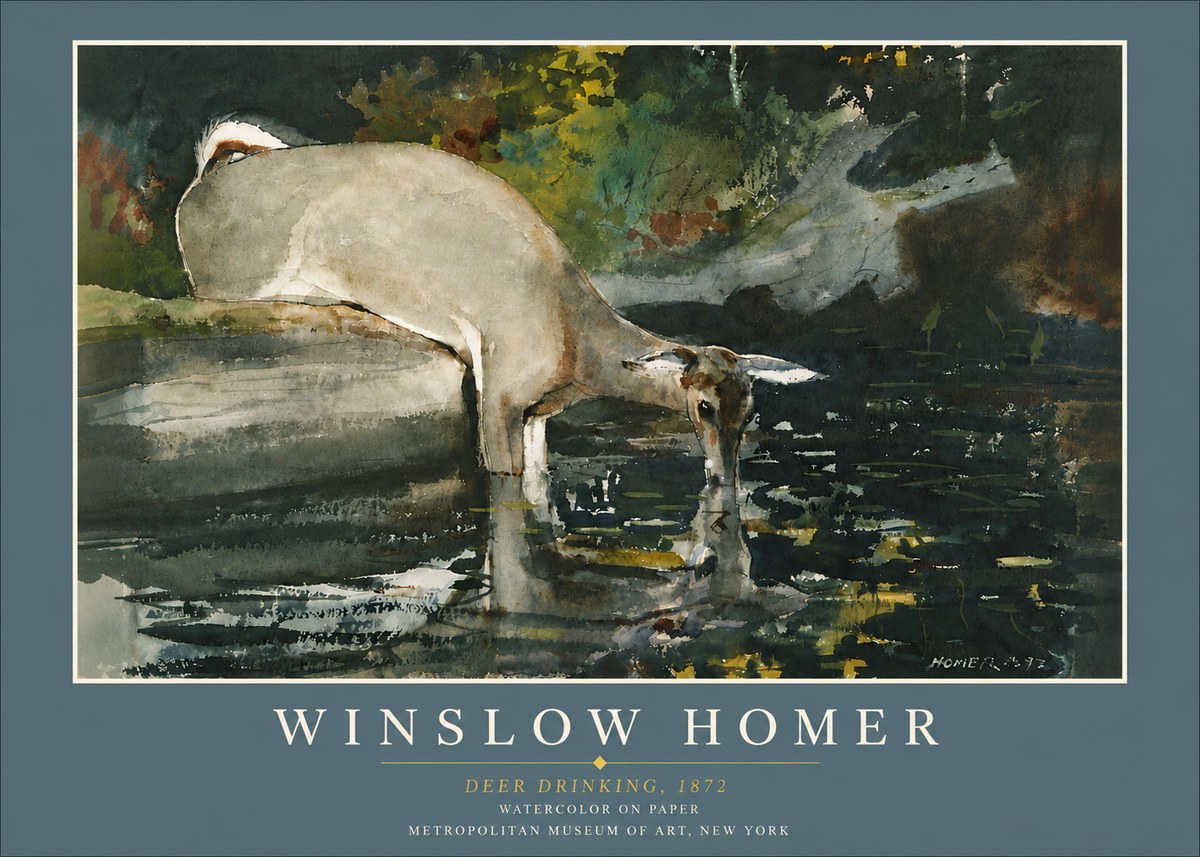 Winslow Homer Deer Drinking No6 - Affiche