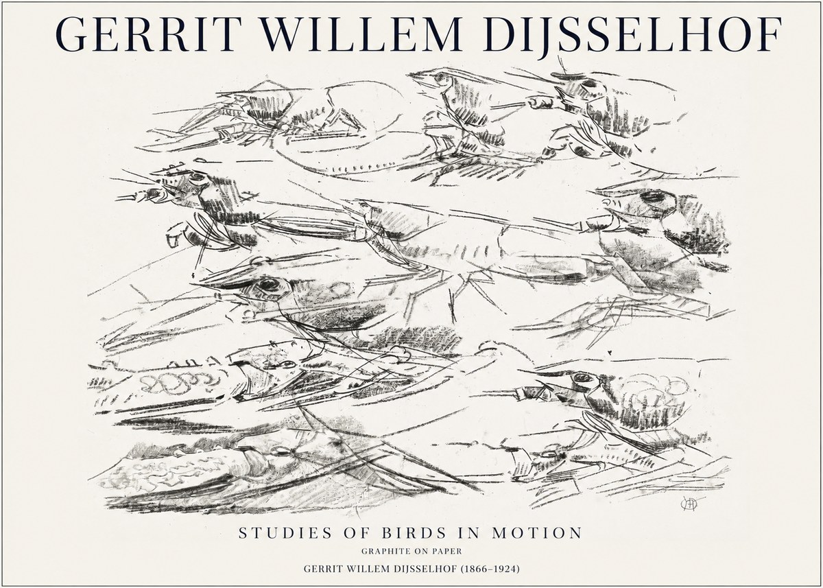 Gerrit Willem Dijsselhof Studies of Birds in Motion No1 - Affiche