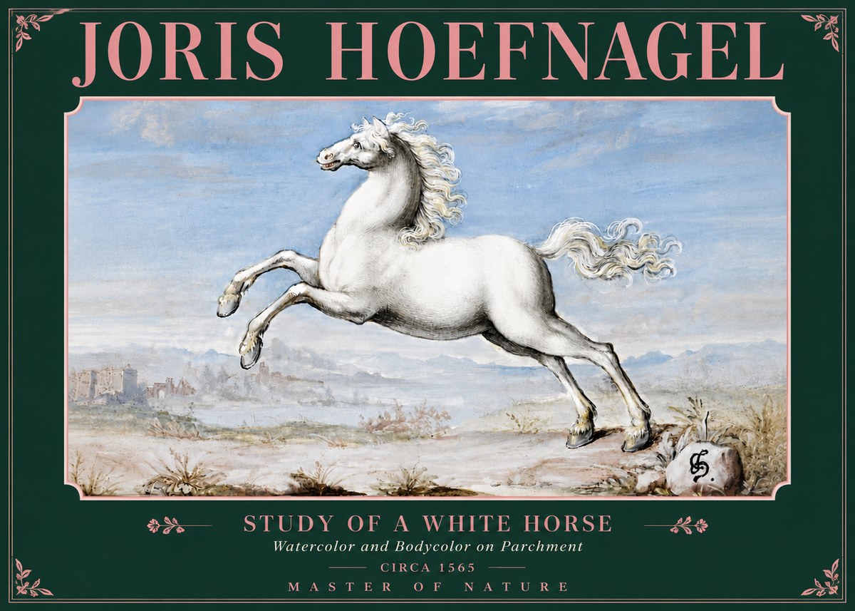 Joris Hoefnagel Study of a White Horse No5 - Affiche