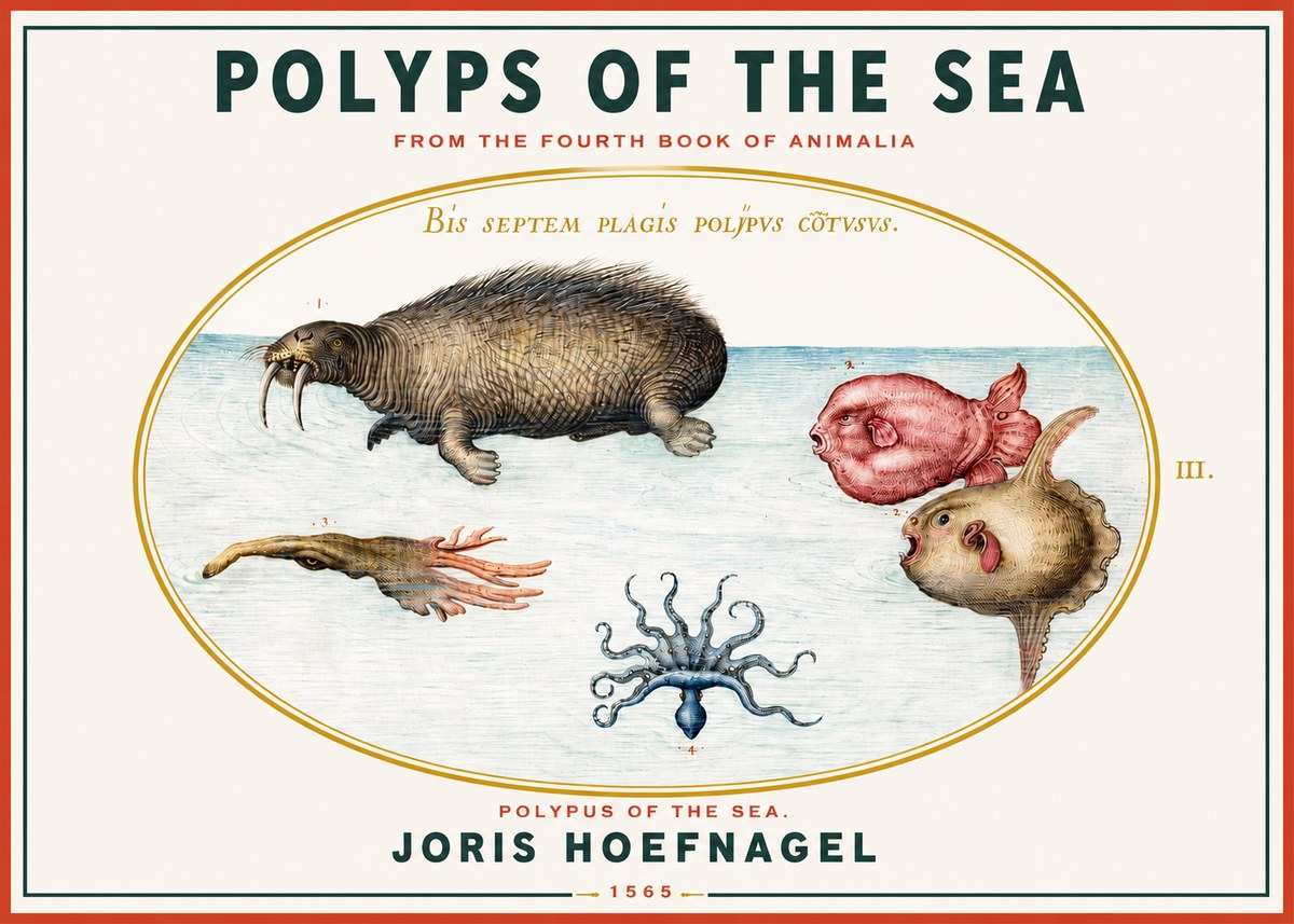 Joris Hoefnagel Polyps of the Sea No3 - Affiche