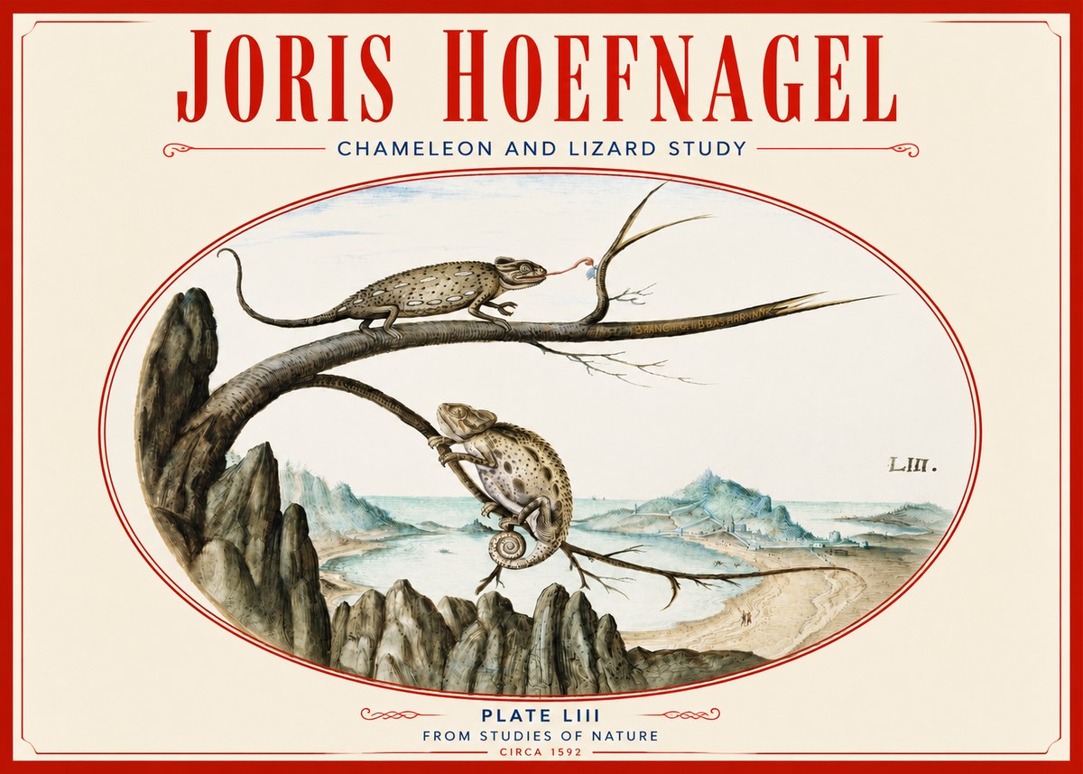 Joris Hoefnagel Chameleon and Lizard No4 - Affiche
