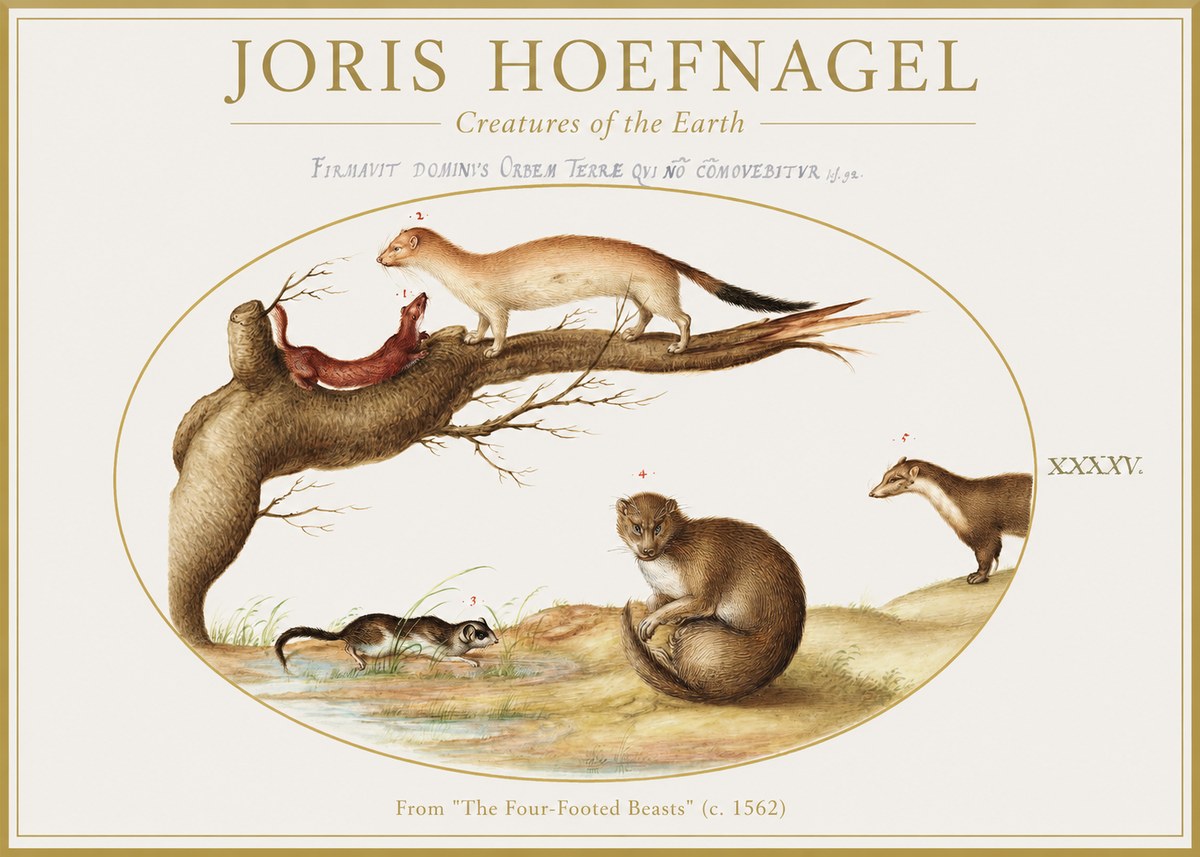 Joris Hoefnagel Creatures of the Earth I No1 - Affiche