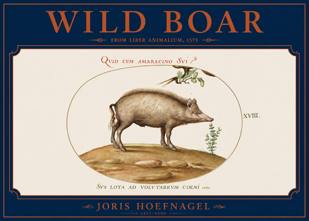 Joris Hoefnagel Qvid Cvm Amaracino Svi? No4 - Affiche