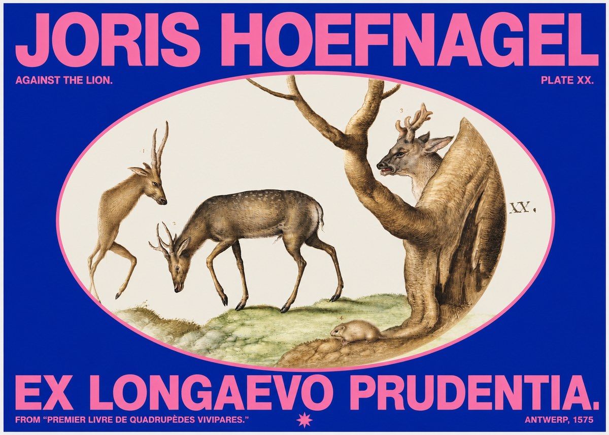 Joris Hoefnagel Do Not Rush Against the Lion. No6 - Affiche