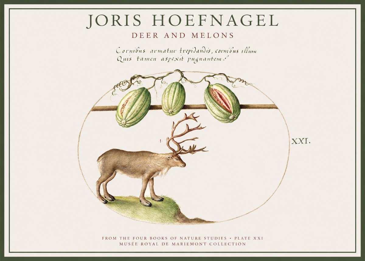 Joris Hoefnagel Arctic Nature Study No4 - Affiche