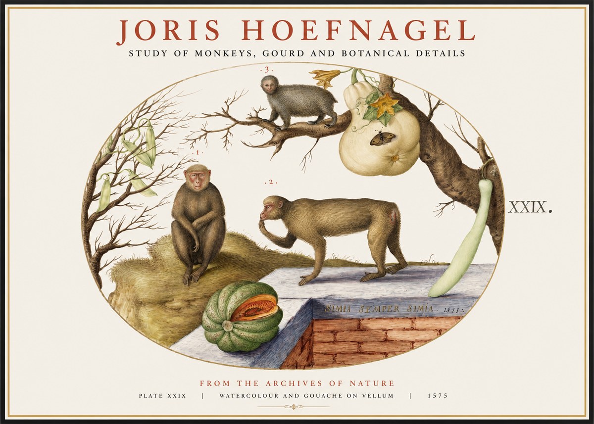 Joris Hoefnagel But Always a Monkey, Always a Monkey. Plate Xxix No2 - Affiche