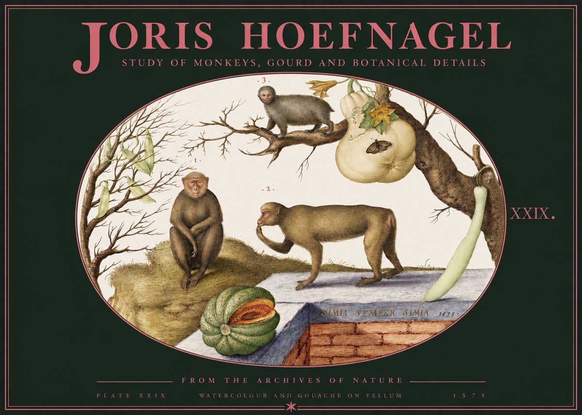 Joris Hoefnagel But Always a Monkey, Always a Monkey. Plate Xxix No3 - Affiche