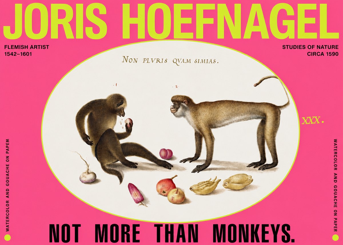 Joris Hoefnagel Not More Than Monkeys No2 - Affiche