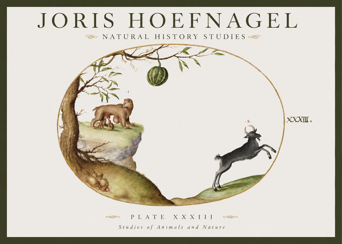Joris Hoefnagel Plate Xxxiii No1 - Affiche