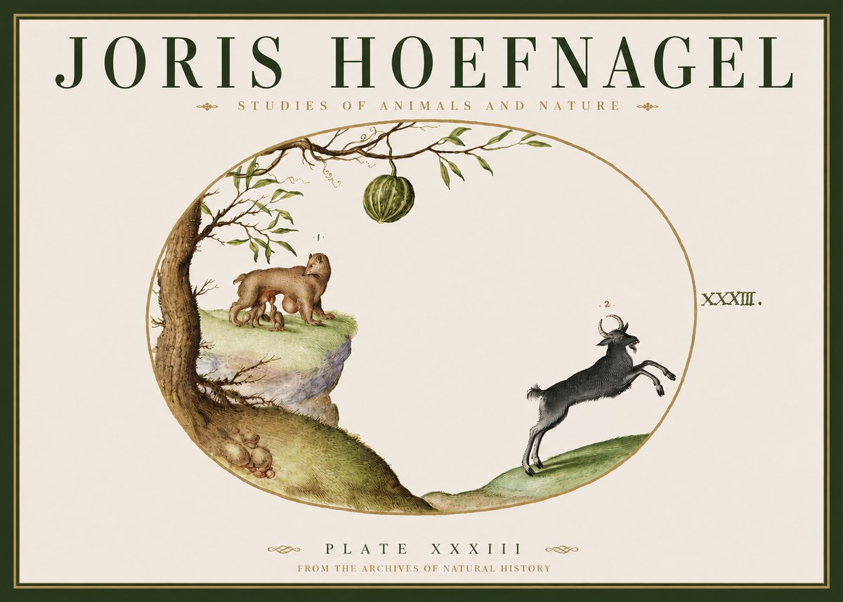 Joris Hoefnagel Plate Xxxiii No3 - Affiche