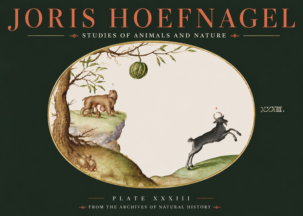 Joris Hoefnagel Plate Xxxiii No4 - Affiche