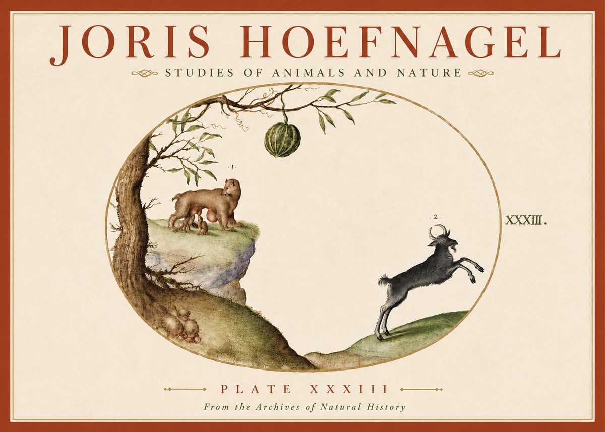 Joris Hoefnagel Plate Xxxiii No6 - Affiche