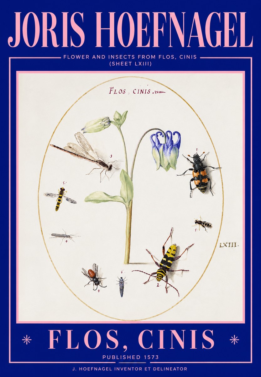 Joris Hoefnagel Insects and a Flower Study No3 - Affiche