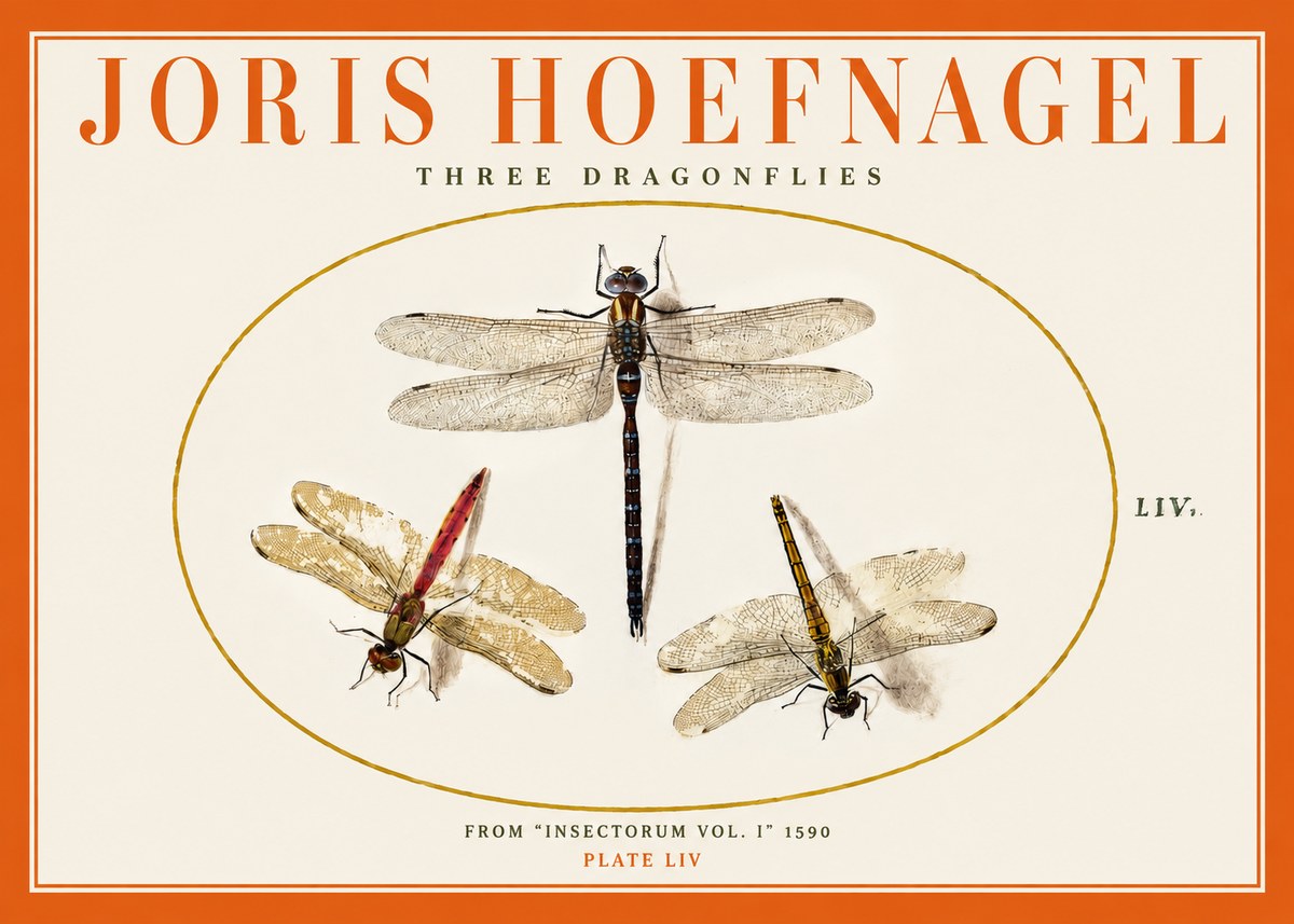 Joris Hoefnagel Three Dragonflies No2 - Affiche