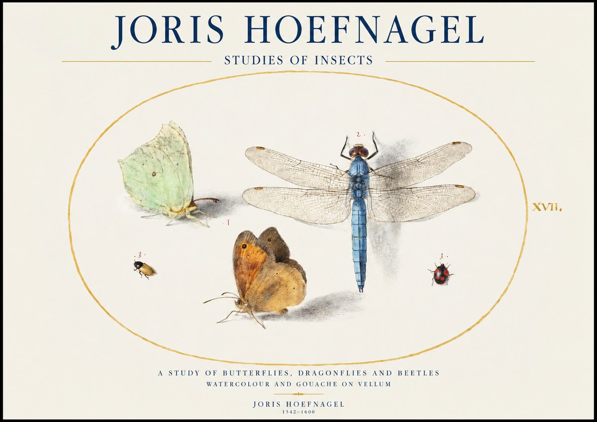 Joris Hoefnagel A Study of Butterflies, Dragonflies and Beetles No1 - Affiche