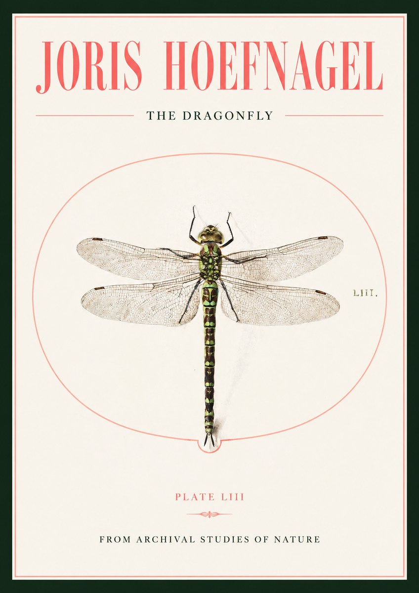 Joris Hoefnagel The Dragonfly No2 - Affiche