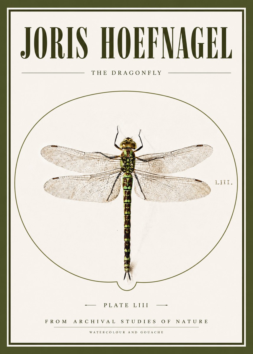 Joris Hoefnagel The Dragonfly No3 - Affiche