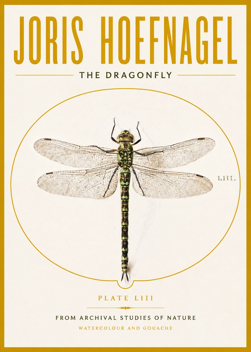 Joris Hoefnagel The Dragonfly No4 - Affiche