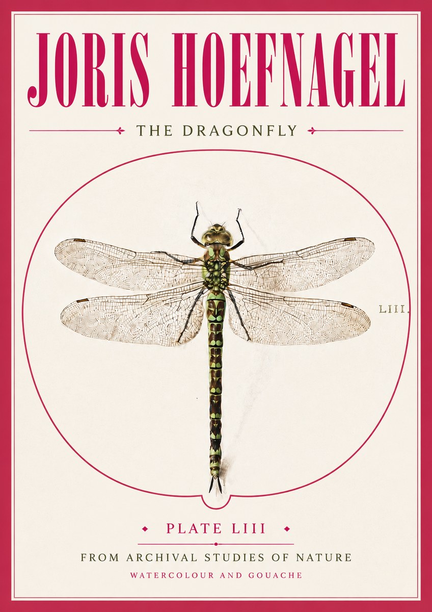 Joris Hoefnagel The Dragonfly No5 - Affiche