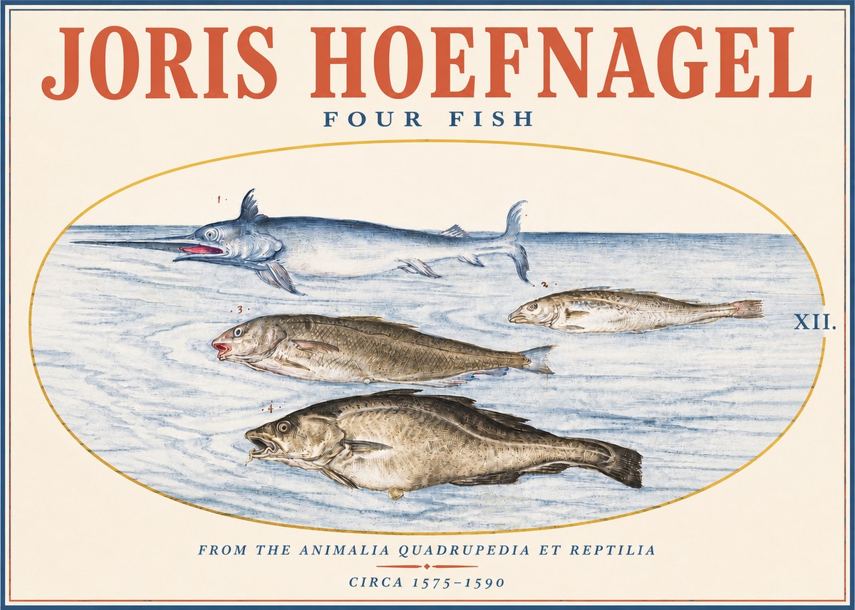 Joris Hoefnagel Four Fish No3 - Affiche