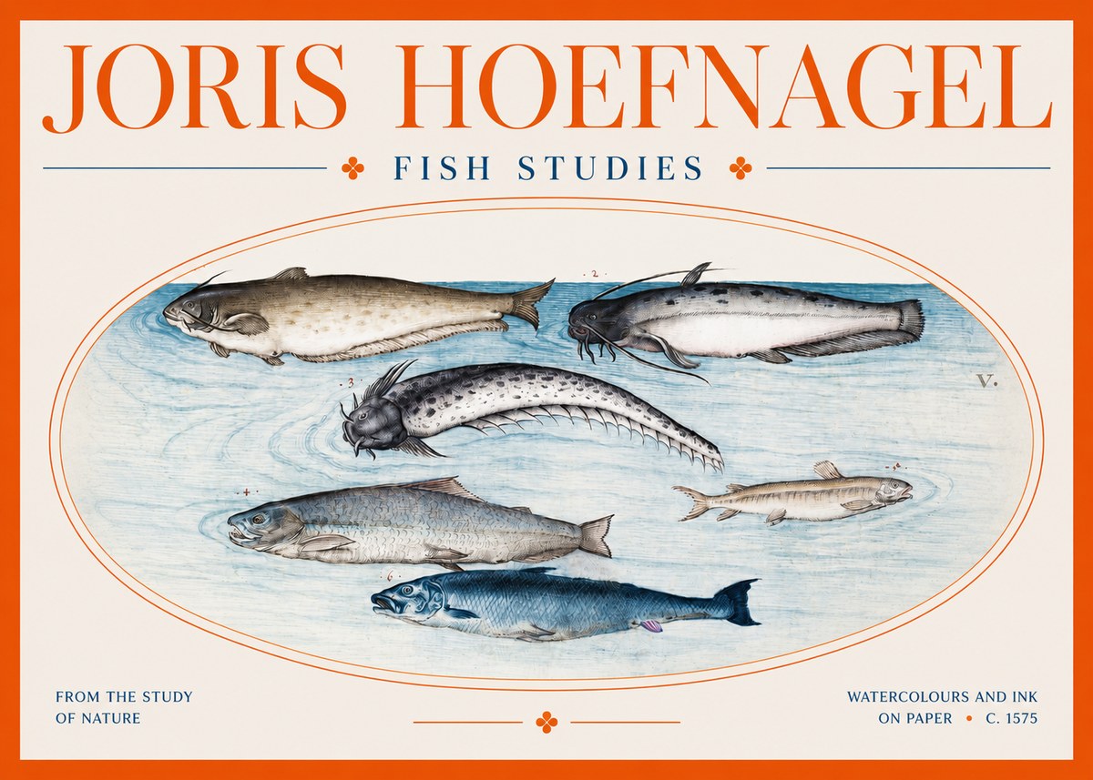 Joris Hoefnagel Fish of the Waters No3 - Affiche