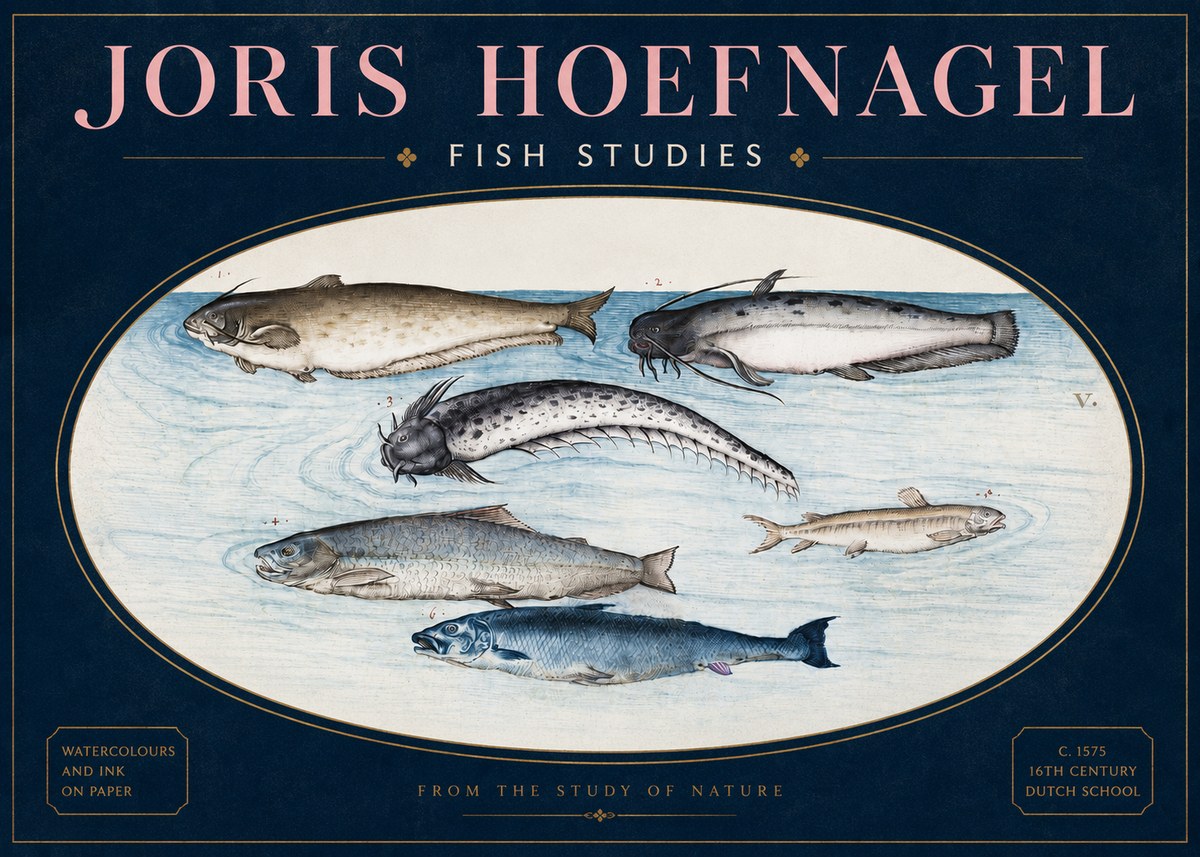 Joris Hoefnagel Fish of the Waters No4 - Affiche