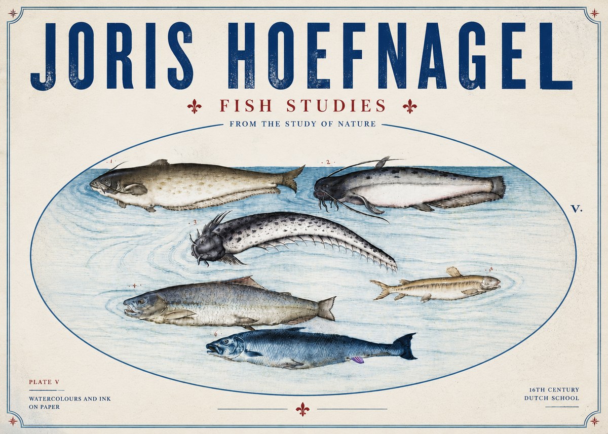 Joris Hoefnagel Fish of the Waters No6 - Affiche