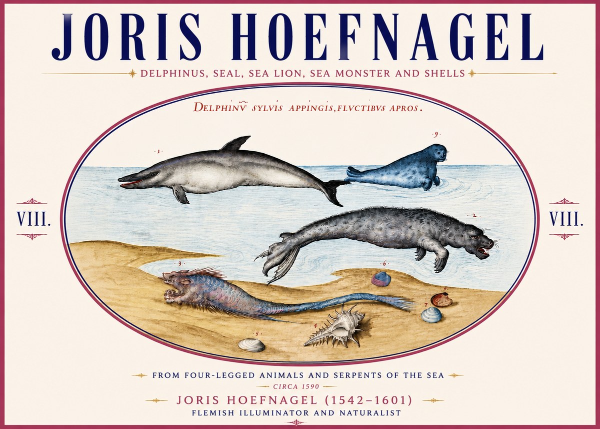 Joris Hoefnagel Delphinus, Seal, Sea Lion, Sea Monster and Shells No6 - Affiche