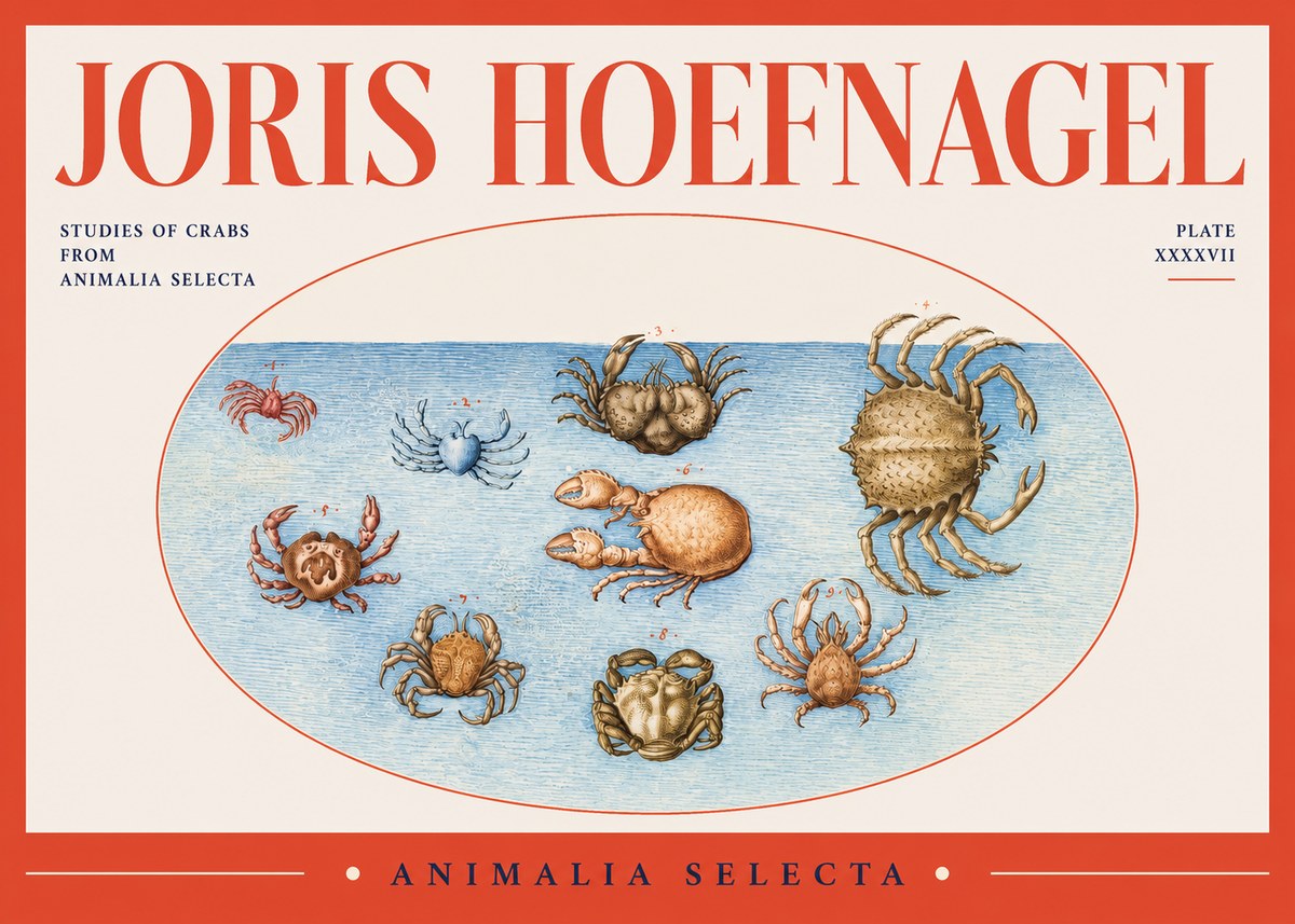 Joris Hoefnagel Studies of Crabs No2 - Affiche