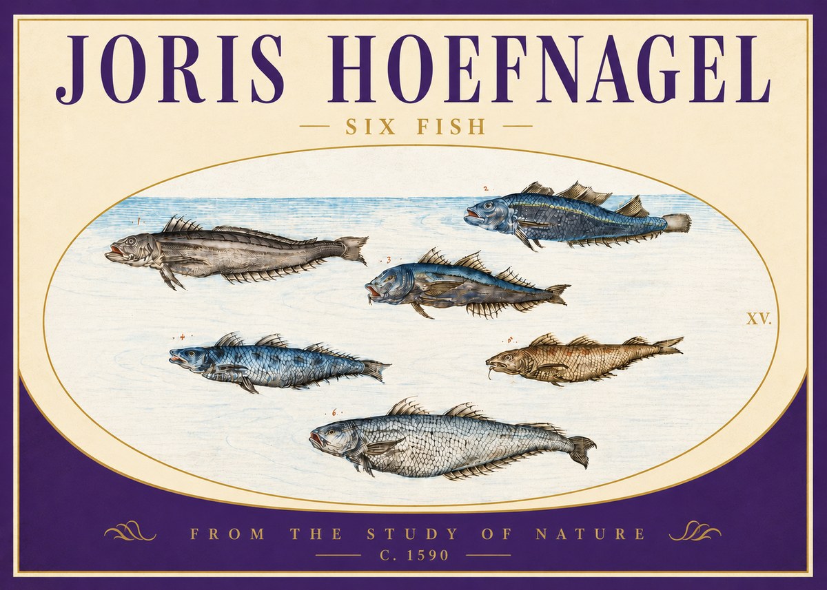 Joris Hoefnagel Six Fish No4 - Affiche