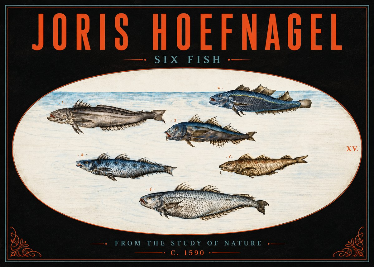 Joris Hoefnagel Six Fish No5 - Affiche
